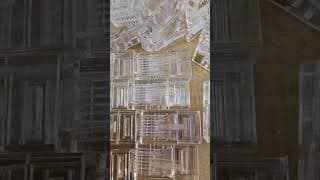 COMMANDO RJ45 Connectors - Gold Plated, Heavy Duty Performance - CAT5e CAT6 CAT7 CAT8 - UTP FTP...