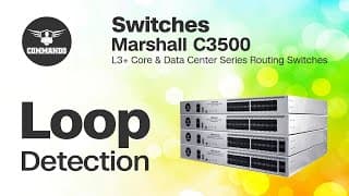 Loopback Detection Configuration - COMMANDO C3500 Series L3+ Core and Data Center Routing Switches