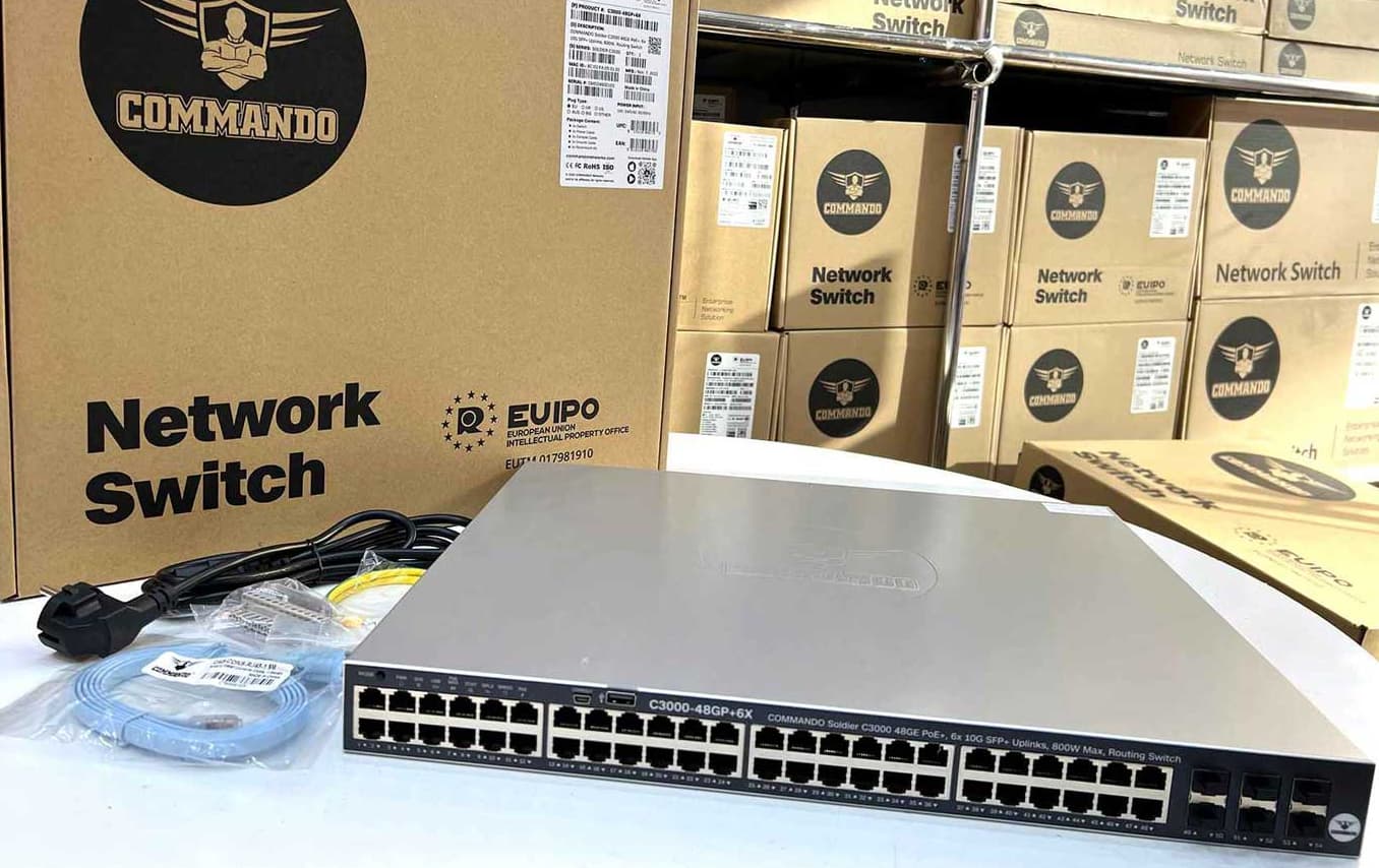 C3000 L3 Series Switches