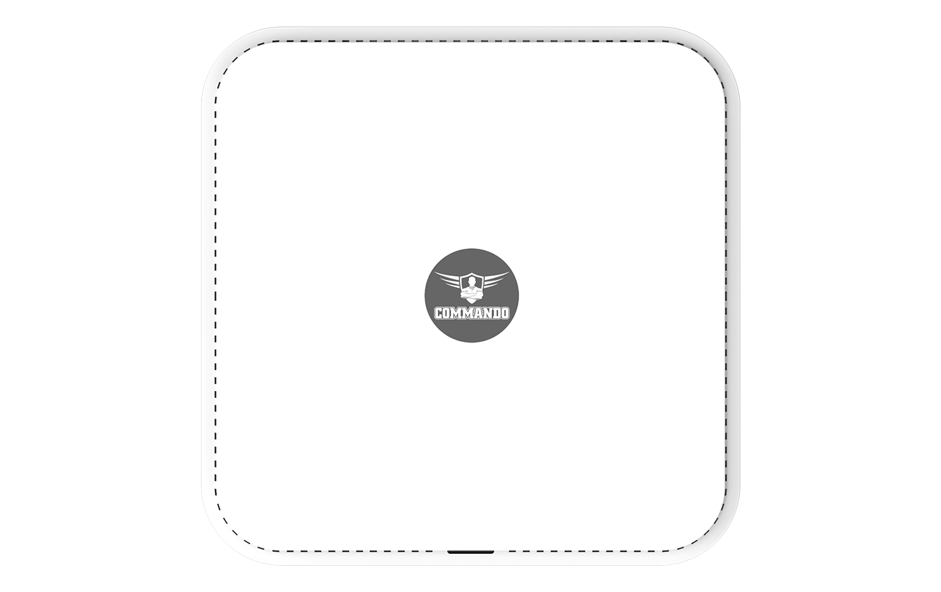 AIR-AP3000AX wireless